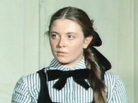   (1981)