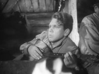    (1958)
