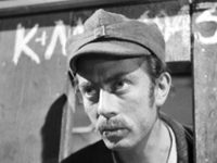  (1954)