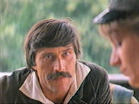  (1982)