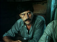  (1981)