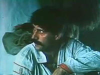   (1981)