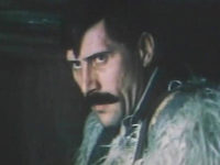   (1981)