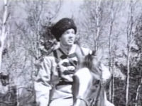    (1981)