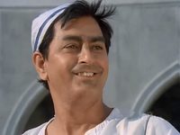  (1981)