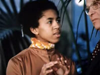    (1981)