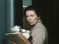   (1982)
