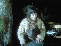    (1986)