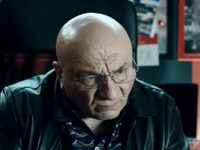    (2017)