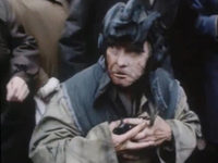    (1993)