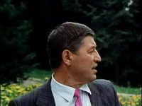   (1991)