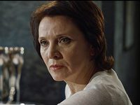  .    (2017)