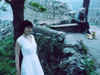  (2006)