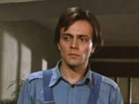    (1981)