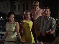  (1966)
