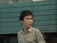    (1986)