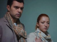  (2017)