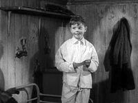   (1955)