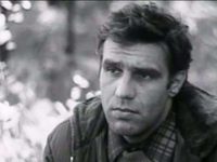   ... (1976)