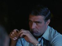  (1981)