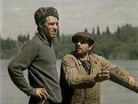   (1978)