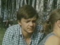   (1985)