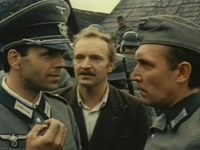  (1980)