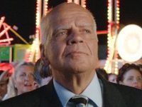   (2015)