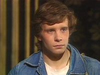   (1982)