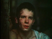  (1981)