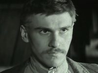    (1981)