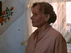   (1981) -  3