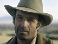   ,    (1977)