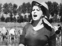   (1948)