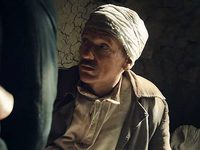   (2017)