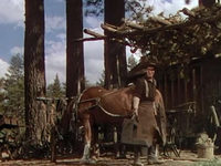    (1941)