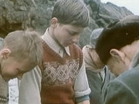     (1978)
