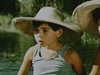    (1954)