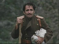 ,   (1984)