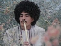    (1983)