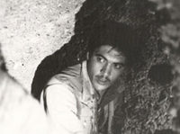     (1979)