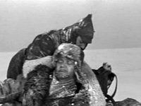   (1966)