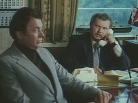   (1981)