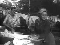     (1964)