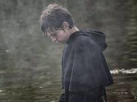 (2017)
