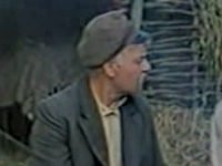  (1982)