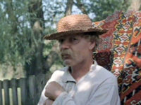    (1982)
