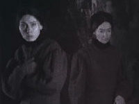   (1993)