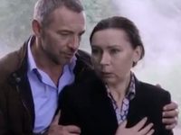  (2016)