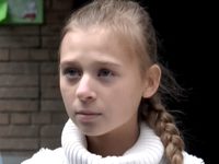 .   (2012)